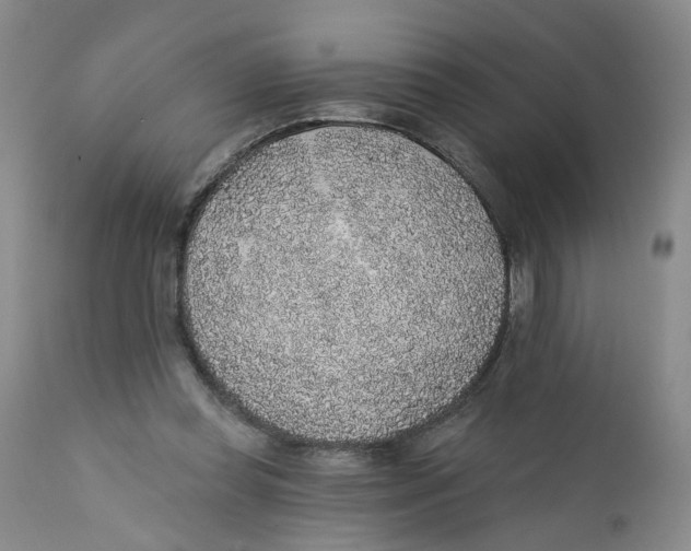 X0000112380349200909101352