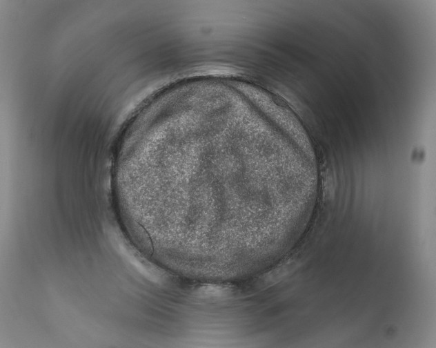 X0000112380350200909101352