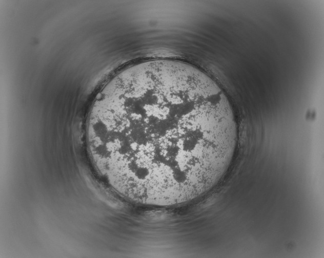 X0000112380351200909101352