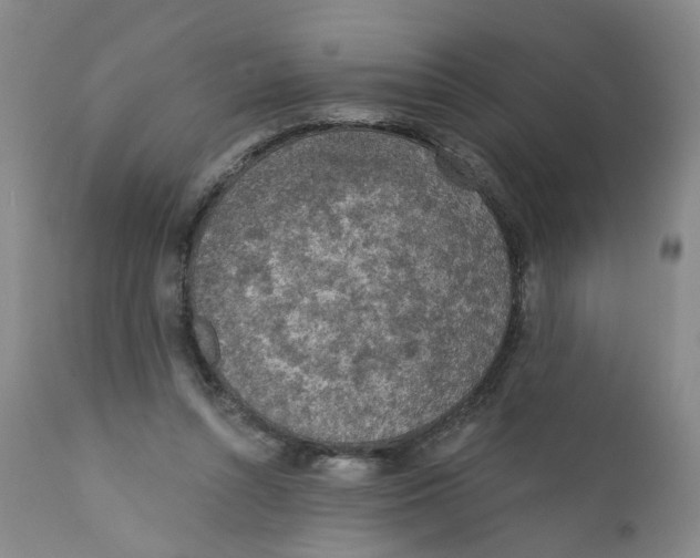 X0000112380352200909101352