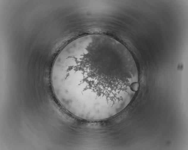 X0000112380353200909101352