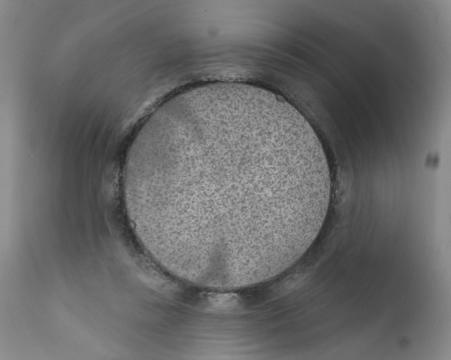 X0000112380355200909101352