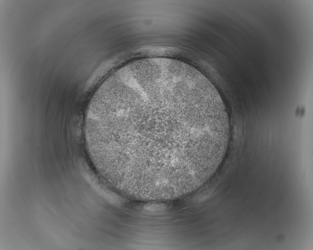 X0000112380357200909101352