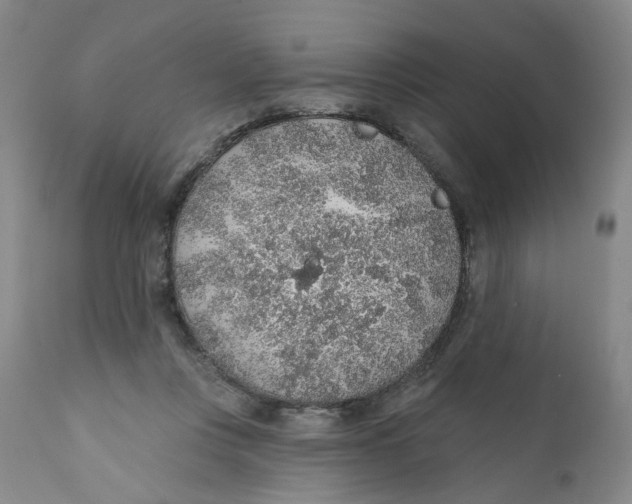 X0000112380359200909101352