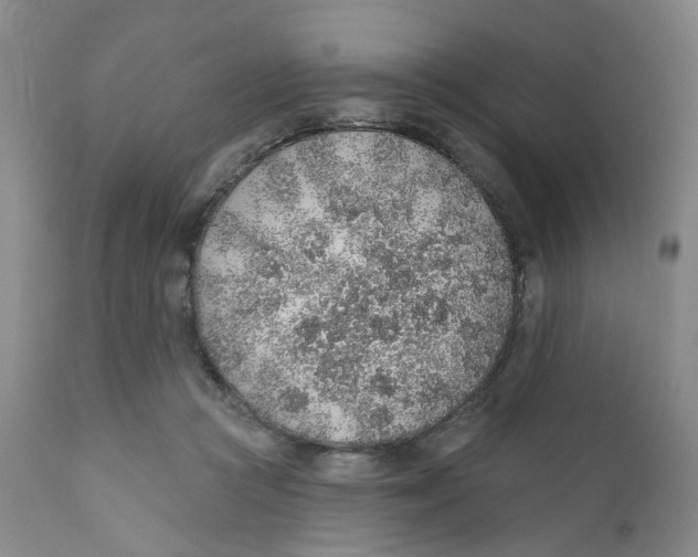 X0000112380361200909101352