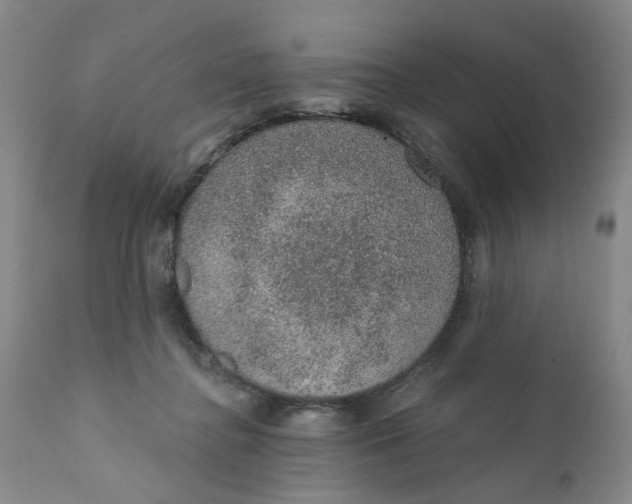 X0000112380364200909101352