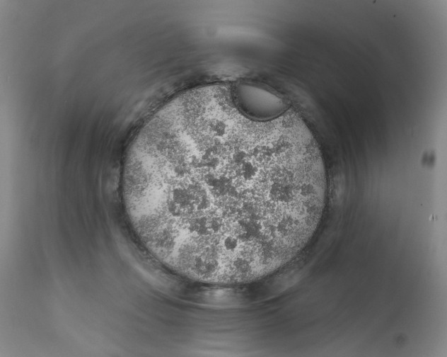 X0000112380365200909101352