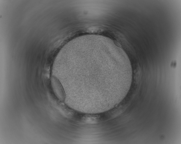 X0000112380368200909101352