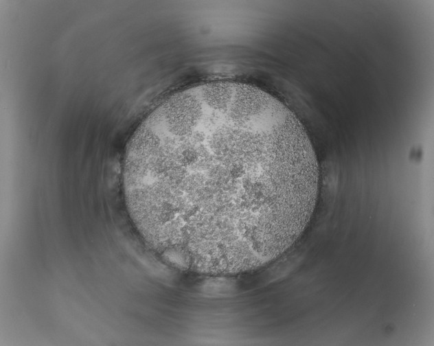 X0000112380369200909101352