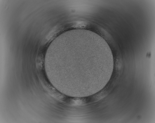 X0000112380370200909101352