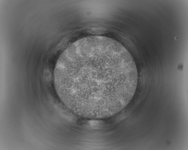 X0000112380371200909101352