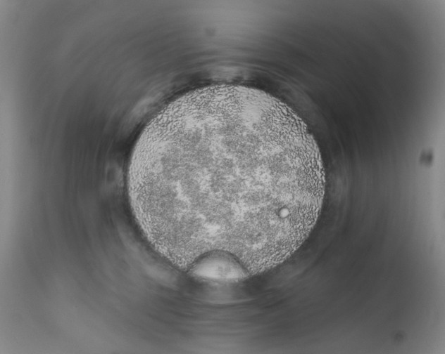 X0000112380375200909101352