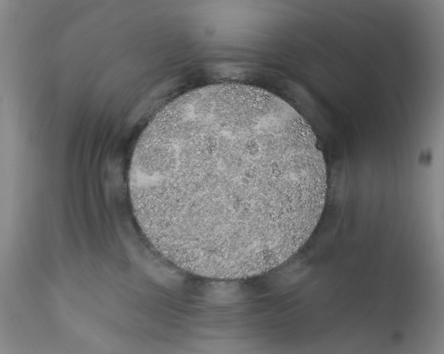 X0000112380377200909101352