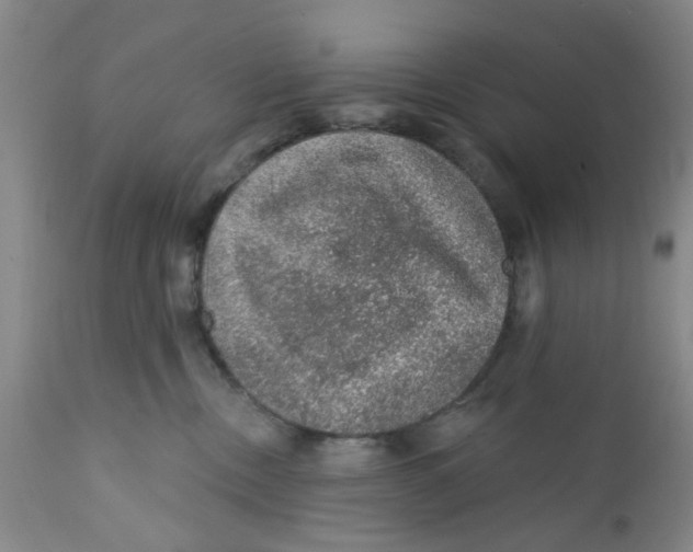 X0000112380378200909101352