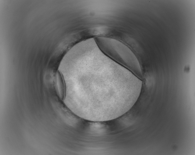 X0000112380380200909101352