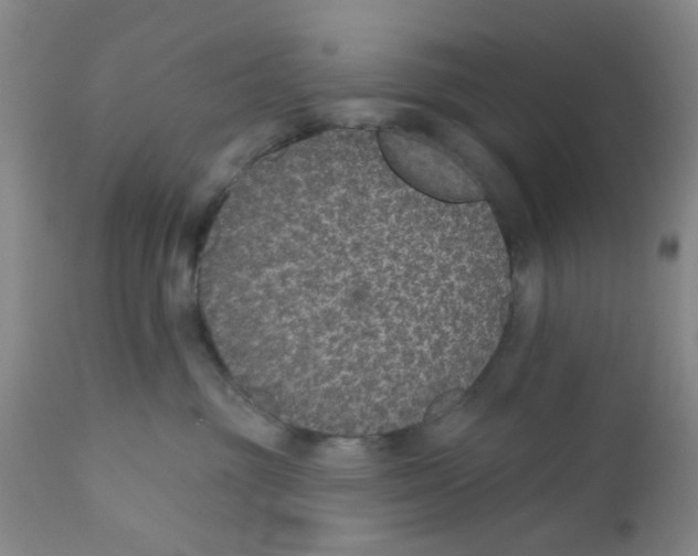 X0000112380381200909101352