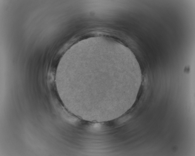 X0000112380382200909101353