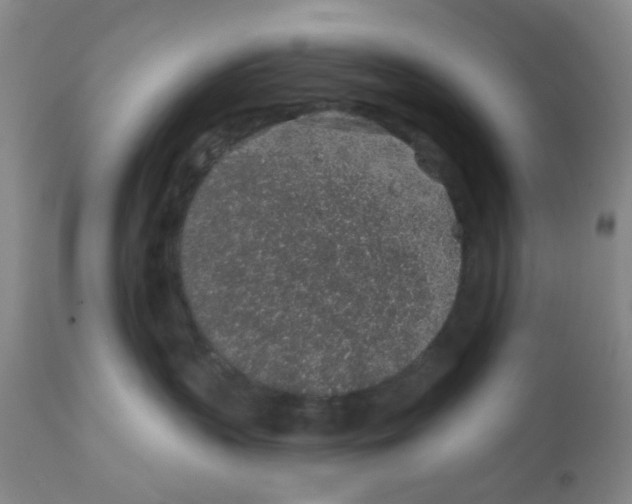 X0000112380383200909101353