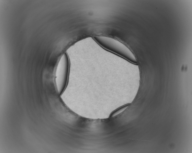 X0000112380384200909101353