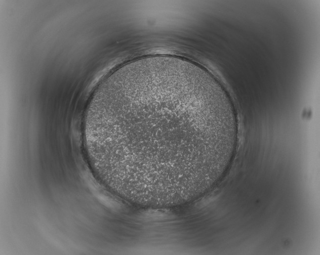 X0000112380386200909101352