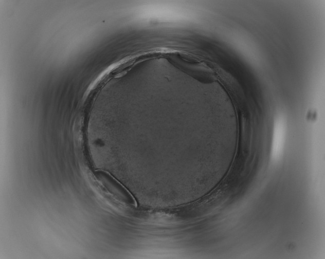 X0000112380387200909101352