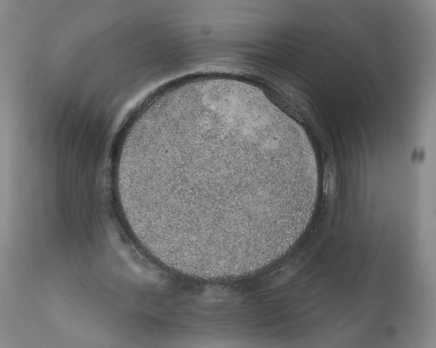 X0000112380388200909101352