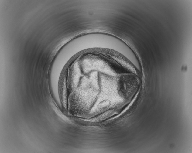 X0000112380389200909101352