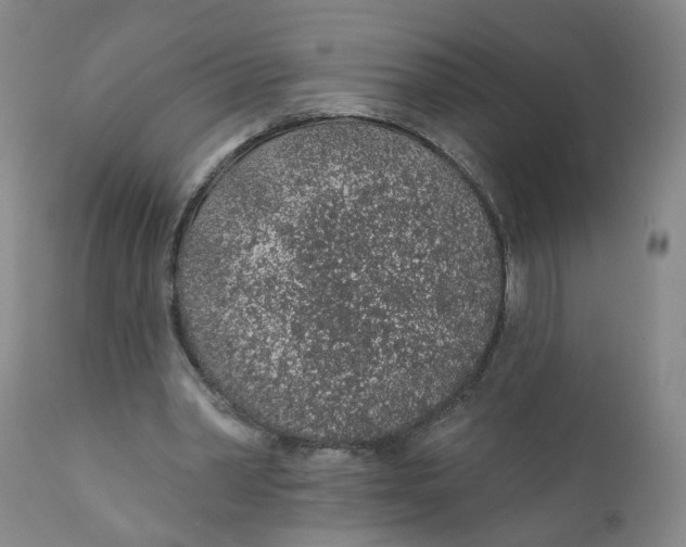 X0000112380390200909101352