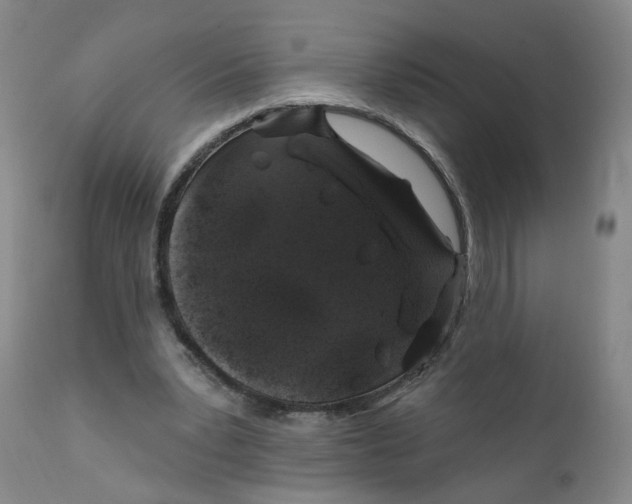 X0000112380391200909101352