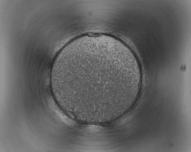 X0000112380393200909101351