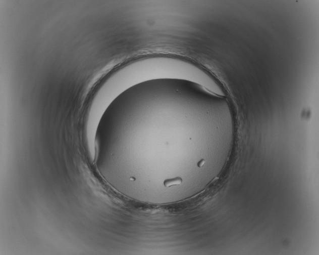 X0000112380395200909101351