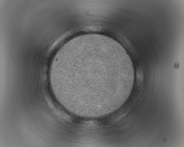 X0000112380396200909101351