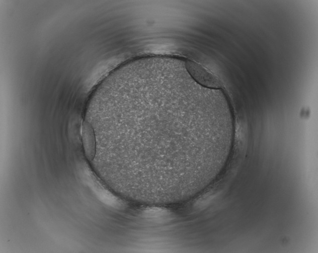 X0000112380397200909101351