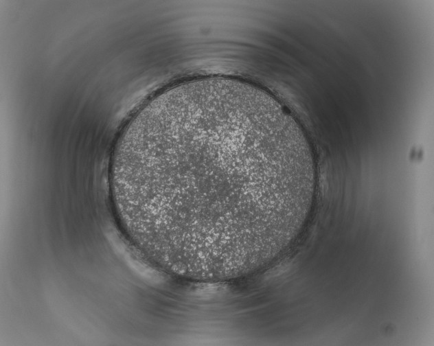 X0000112380398200909101351