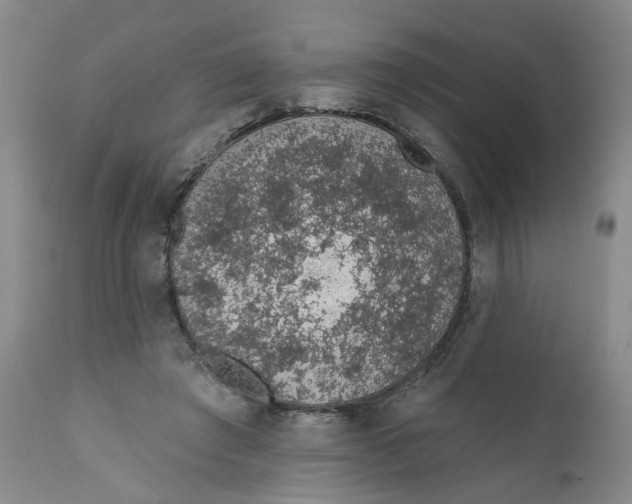 X0000112380401200909101351