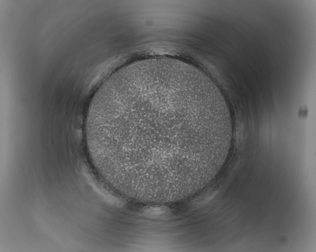 X0000112380402200909101351