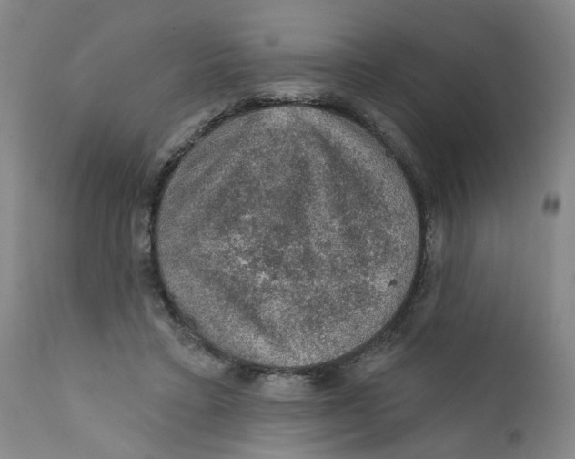 X0000112380403200909101351