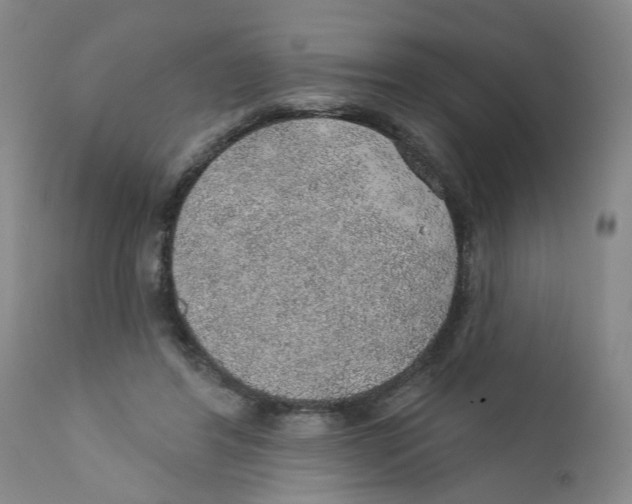 X0000112380404200909101351