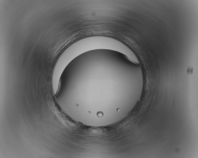 X0000112380405200909101351