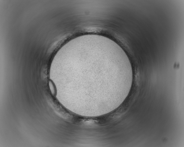 X0000112380407200909101351