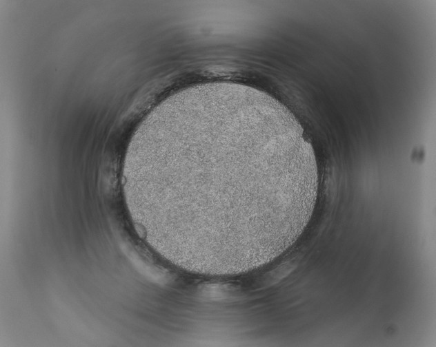 X0000112380408200909101351