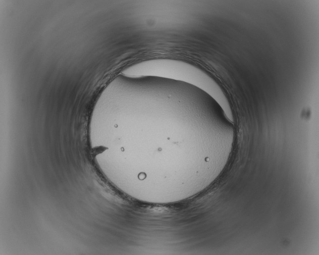 X0000112380409200909101351