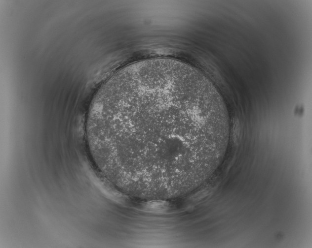 X0000112380410200909101351