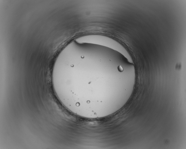 X0000112380411200909101351