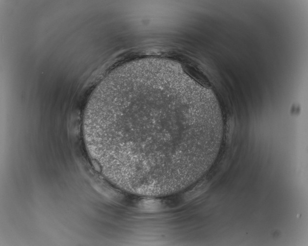 X0000112380413200909101351