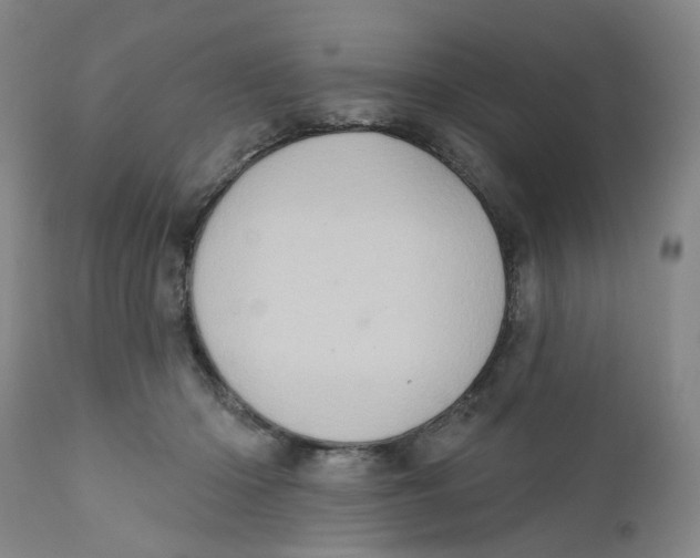 X0000112380414200909101351