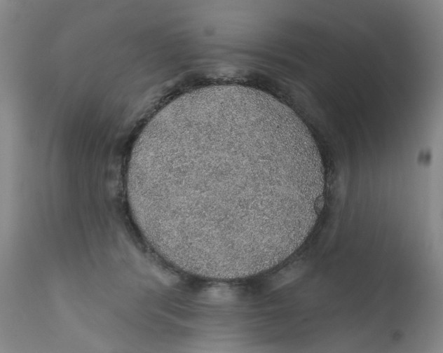 X0000112380416200909101351