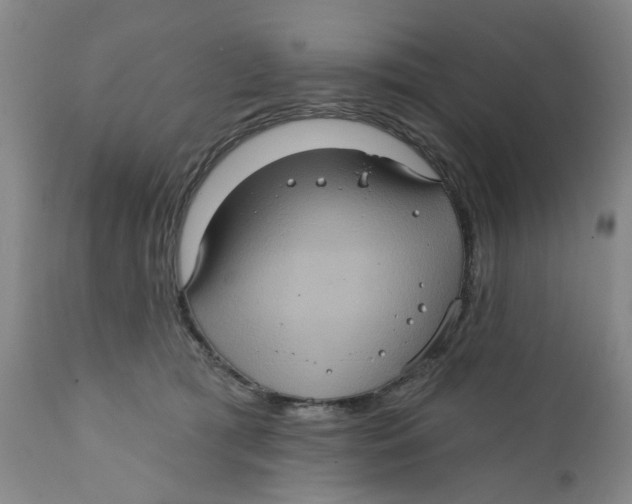 X0000112380417200909101351