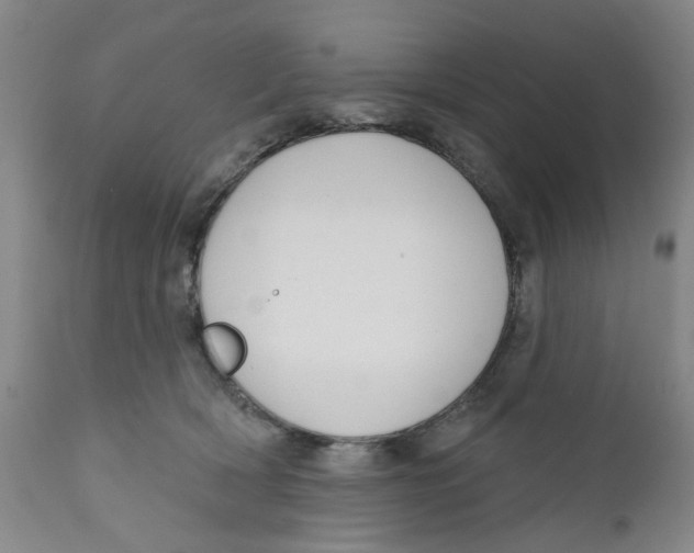 X0000112380418200909101351