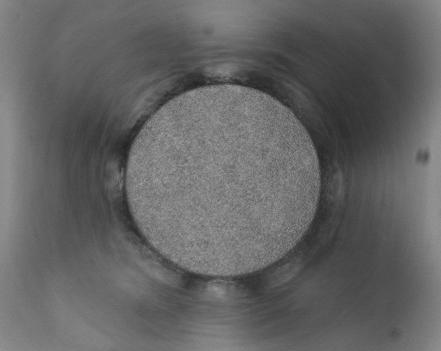 X0000112380420200909101351